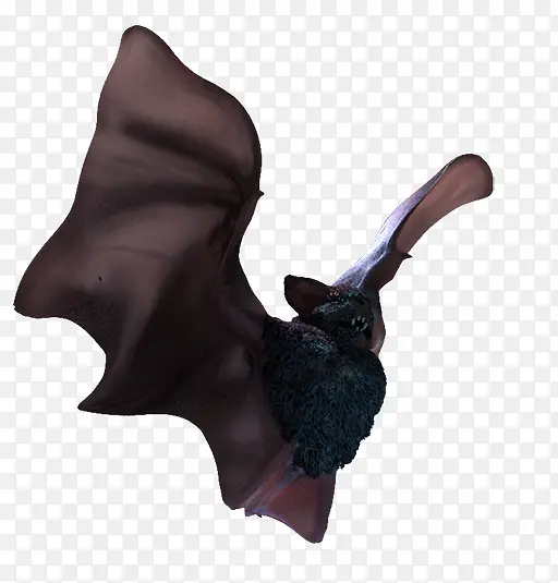 蝙蝠 动物形象 雕像