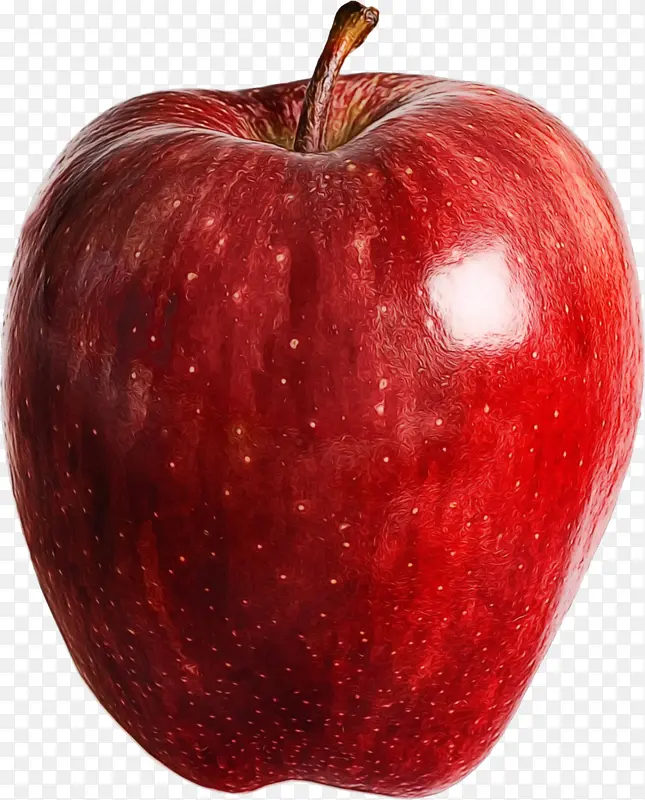苹果 麦金托什红 食品