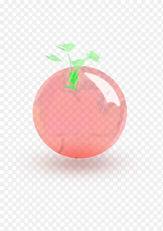 球形 水果 粉色