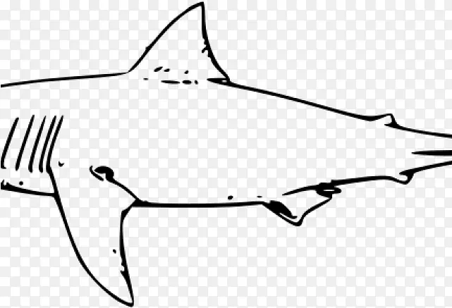 鲨鱼 大白鲨 线条艺术