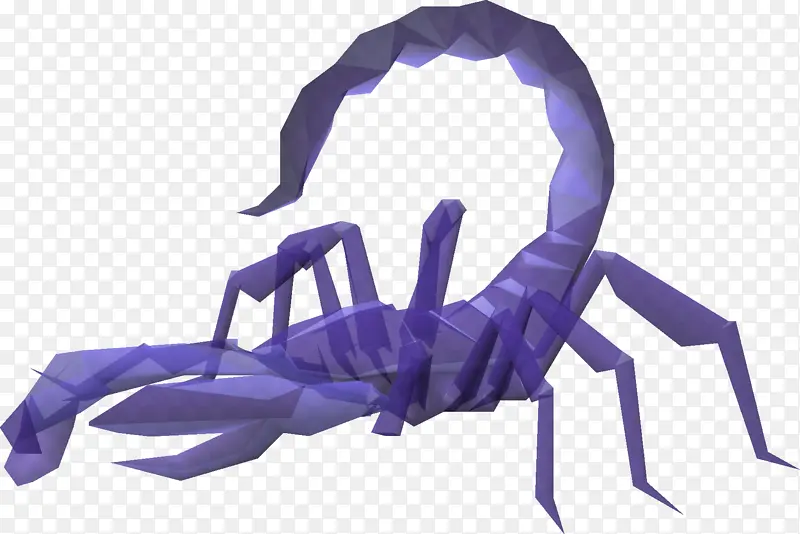 紫色 蛛形纲动物 蝎子