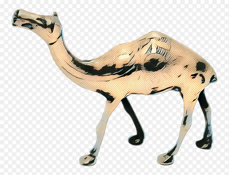 骆驼 雕像 动物