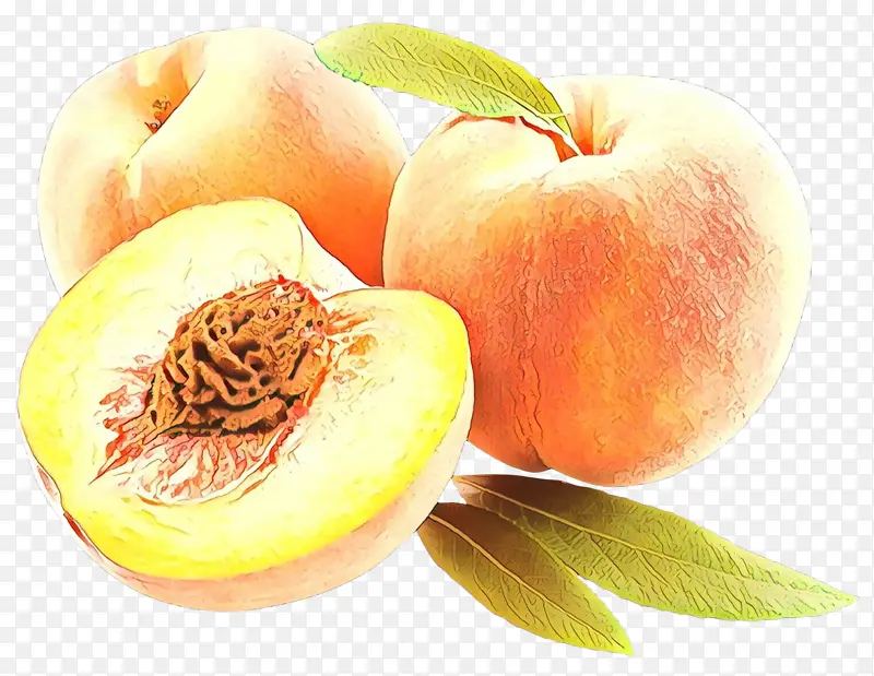 桃 食品 黄皮