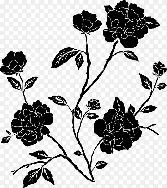 黑玫瑰 玫瑰 黑色