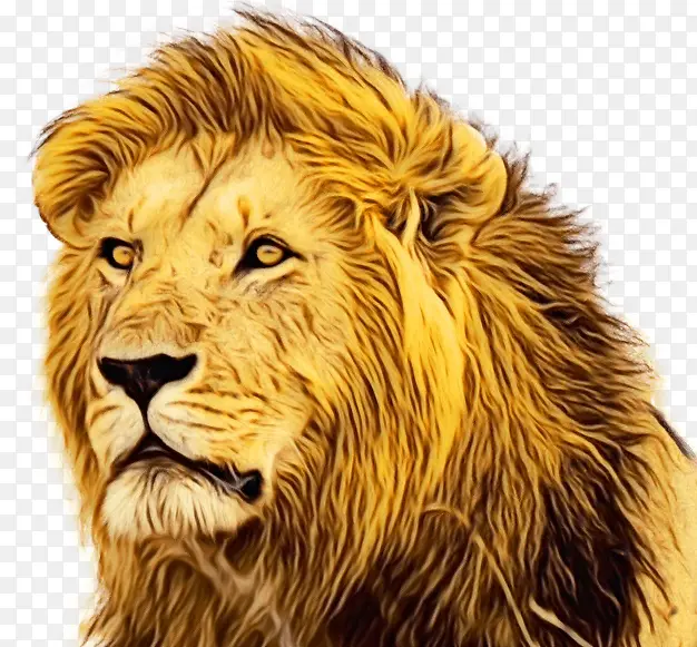 狮子 老虎 杀死塞西尔狮子