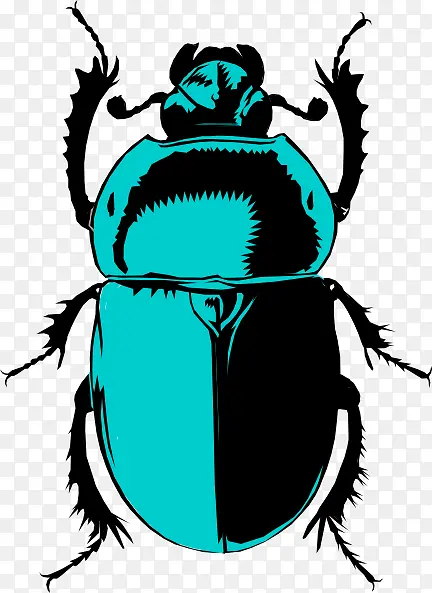 甲虫 金龟子 粪甲虫