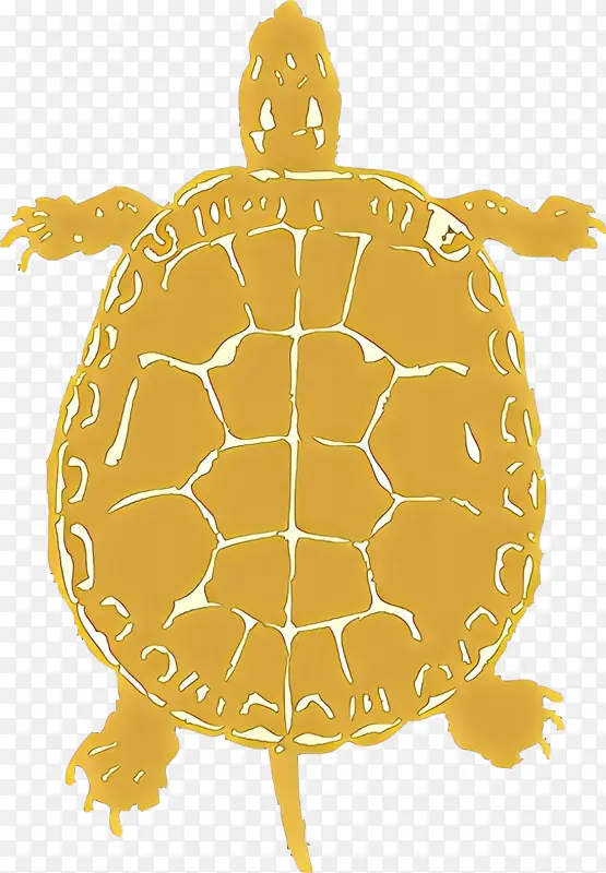 乌龟 海龟 剪影