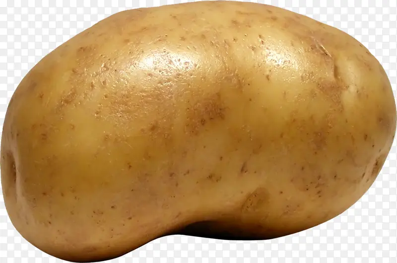 育空金薯 块茎 蔬菜