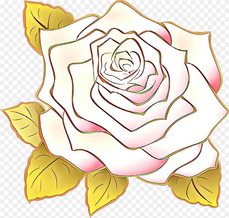 花园玫瑰 着色书 卷心菜玫瑰