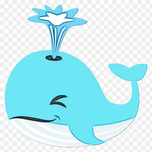 鲸鱼 蓝鲸 鲸目动物