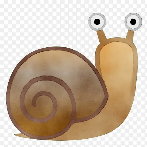 蜗牛 蜗牛和蛞蝓 海蜗牛