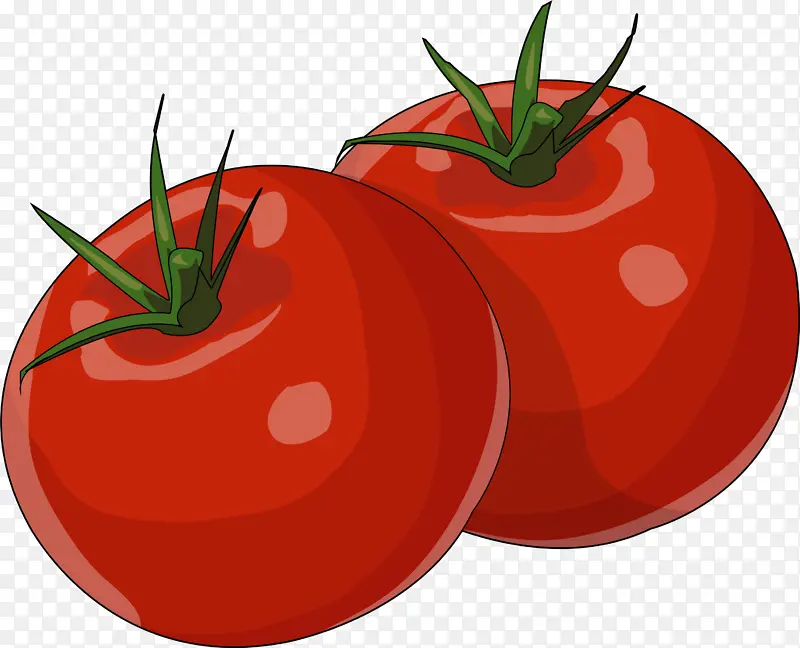 李子番茄 樱桃番茄 食品