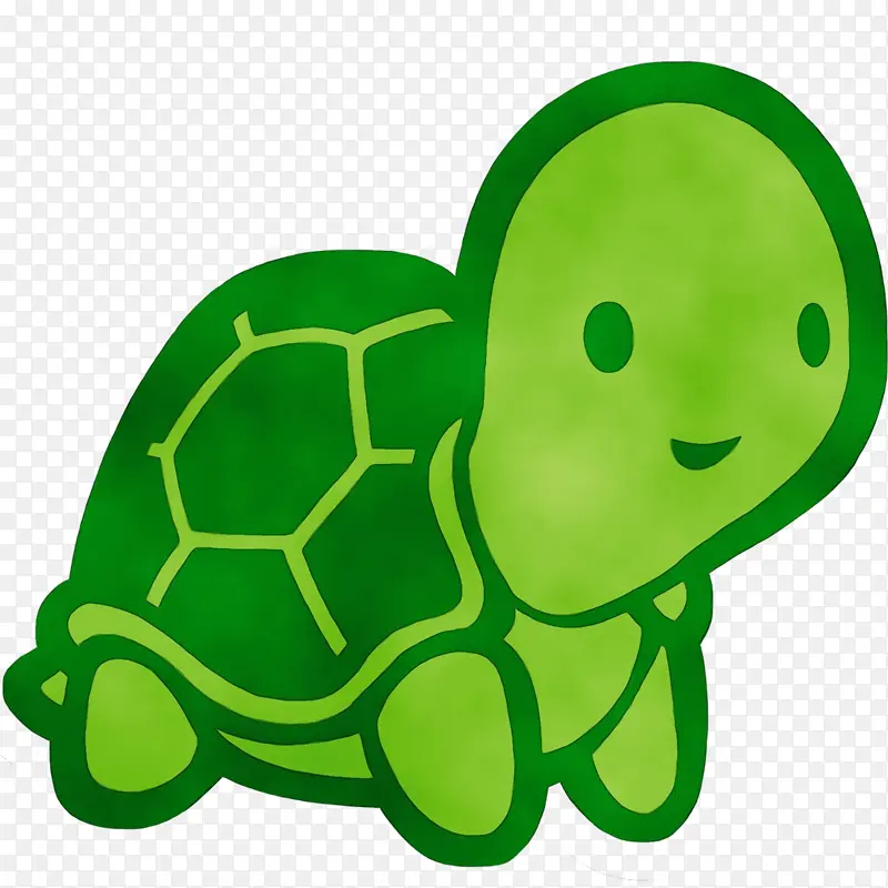乌龟 海龟 绿色