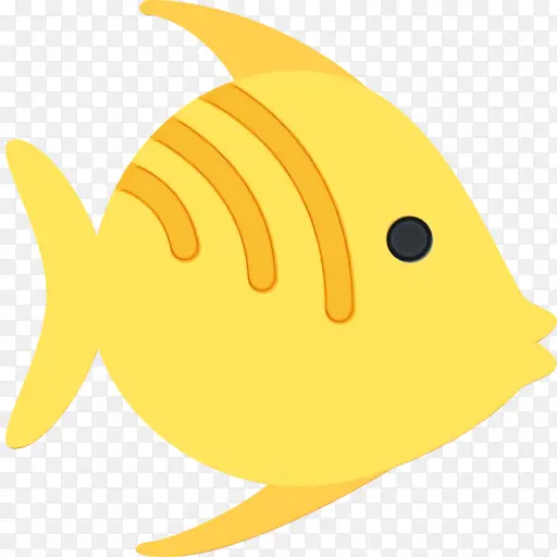 黄色 生物学 鱼类
