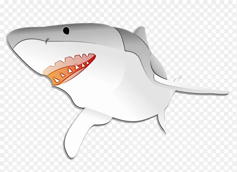 鲨鱼 科技 白鲨