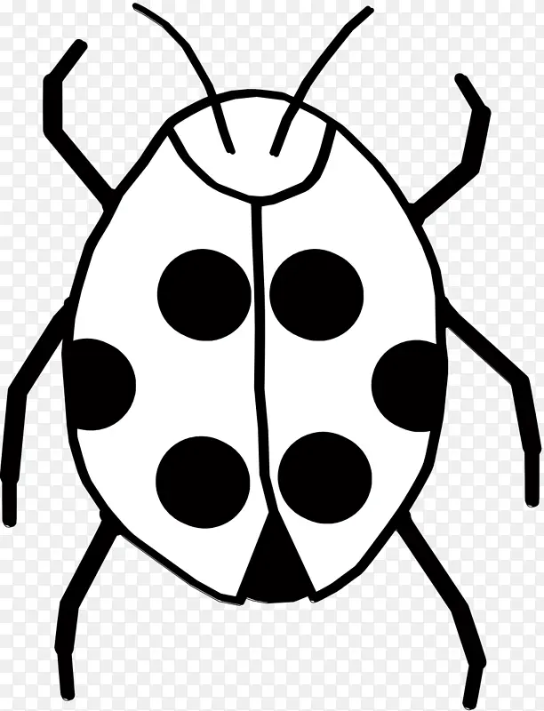 瓢虫甲虫 甲虫 绘画