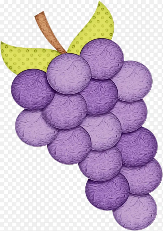 葡萄 紫色 葡萄科