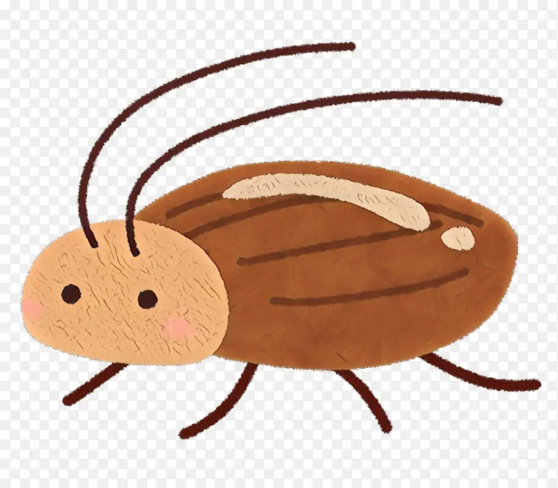 蟑螂 甲虫 卡通