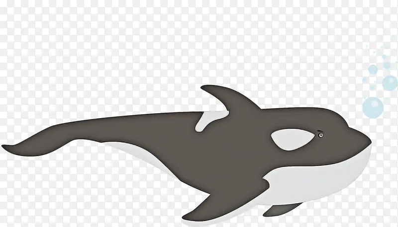 海豚 鲨鱼 卡通