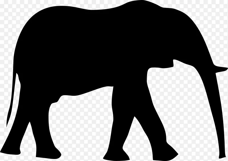 大象 非洲大象 印度大象