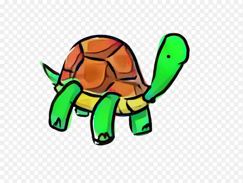 乌龟 海龟 绿色