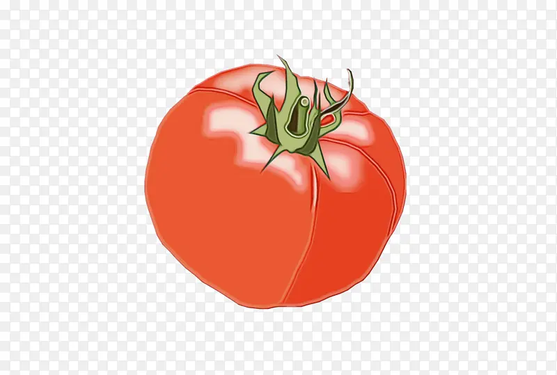 李子番茄 食品 番茄