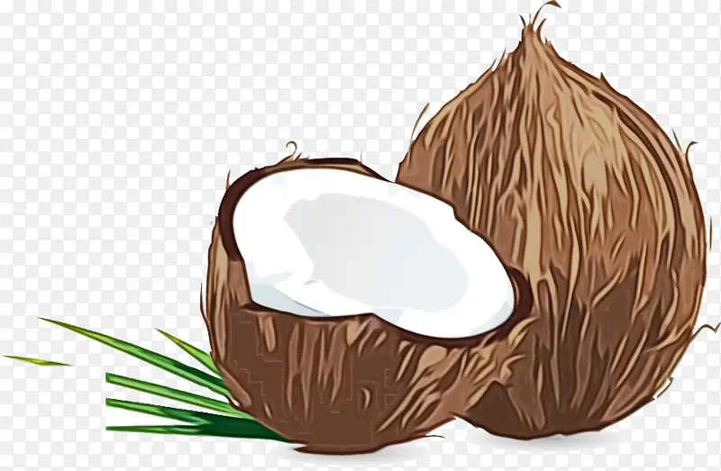超级食品 椰子 树