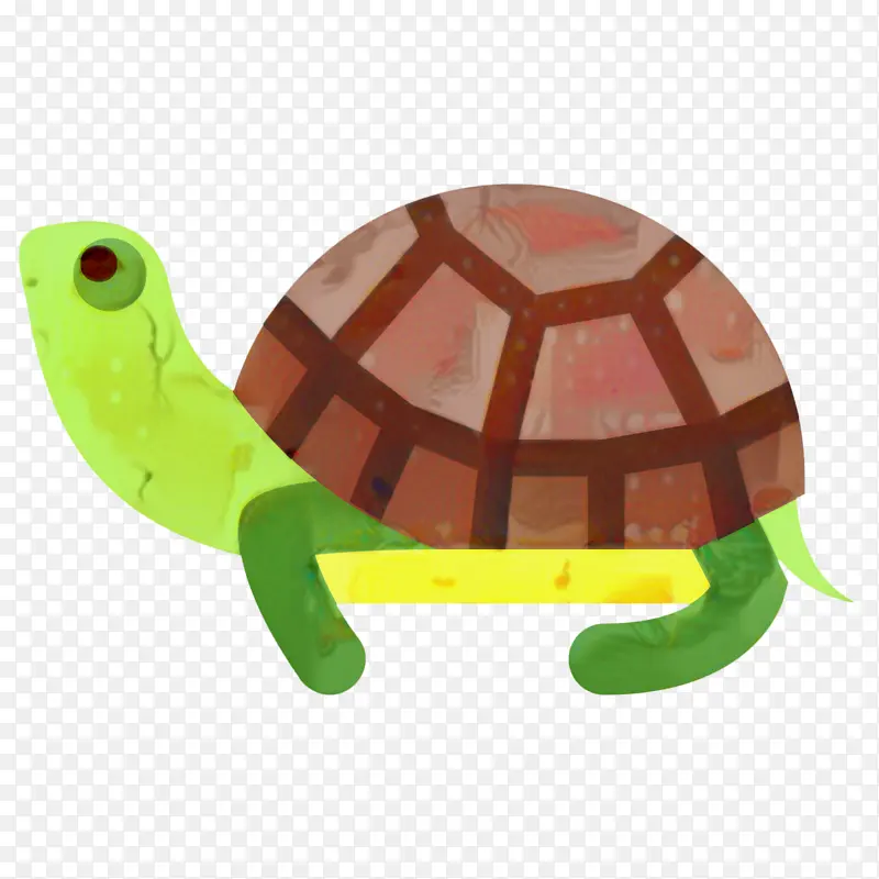 乌龟 海龟 爬行动物
