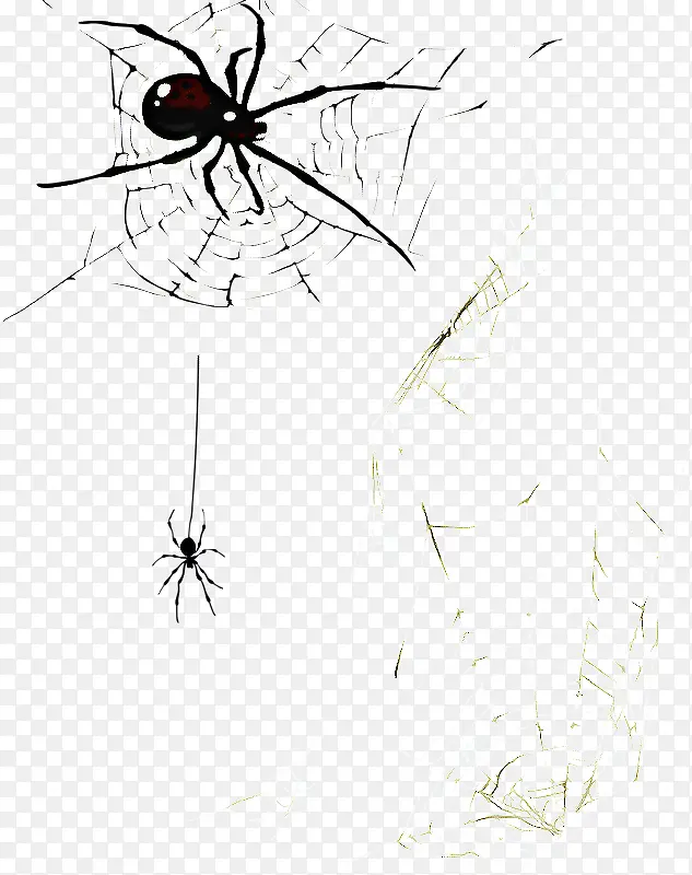 蚊子 昆虫 线条艺术