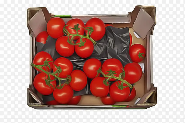 李子番茄 番茄 食品