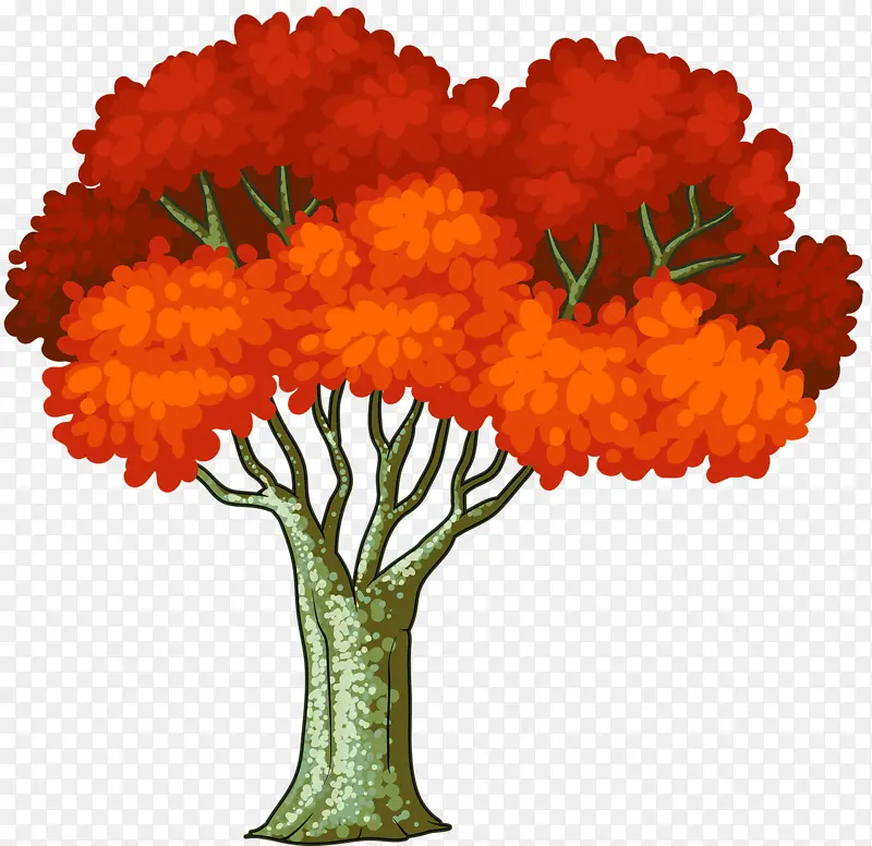 树 树荫 颜色