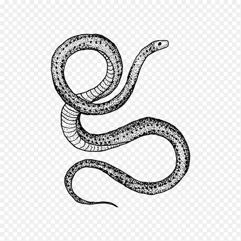 蛇 绘画 纹身
