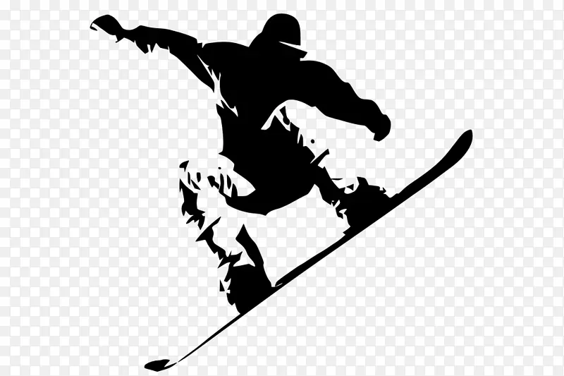 滑雪板 滑雪 运动