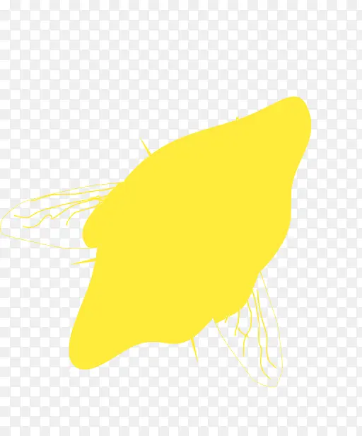 喙 黄色 动物