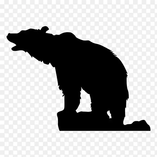 熊 美国黑熊 灰熊