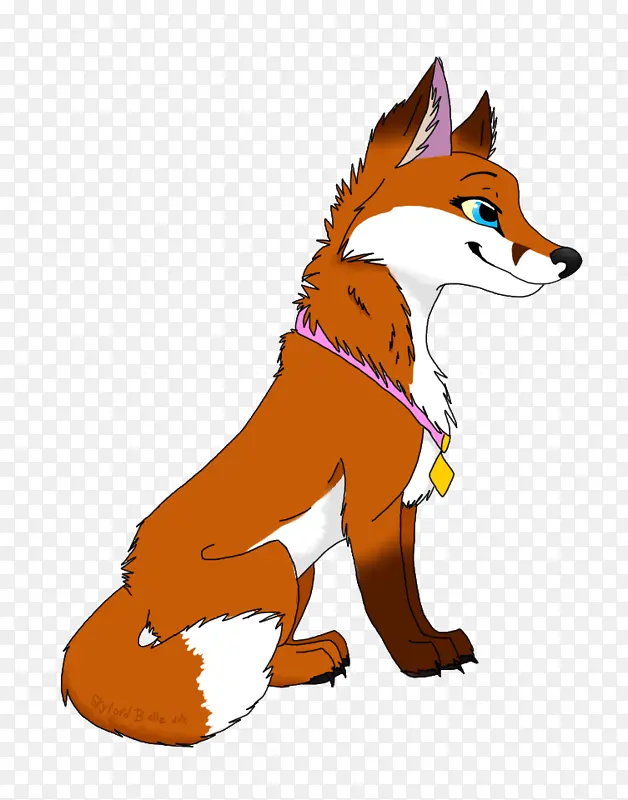 红狐 狐狸 狗
