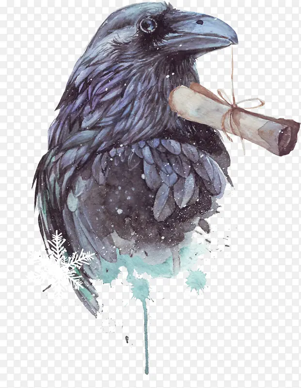 美国乌鸦 鸟 水墨画
