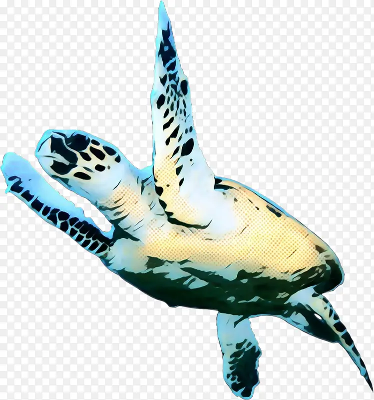 波普艺术 复古 红海龟