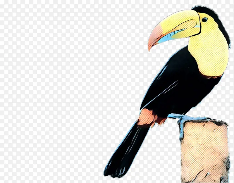 波普艺术 复古 鸟类