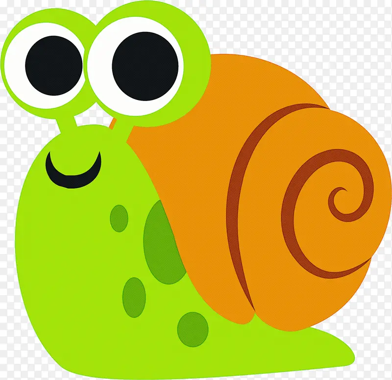 绿色 蜗牛和蛞蝓 蜗牛