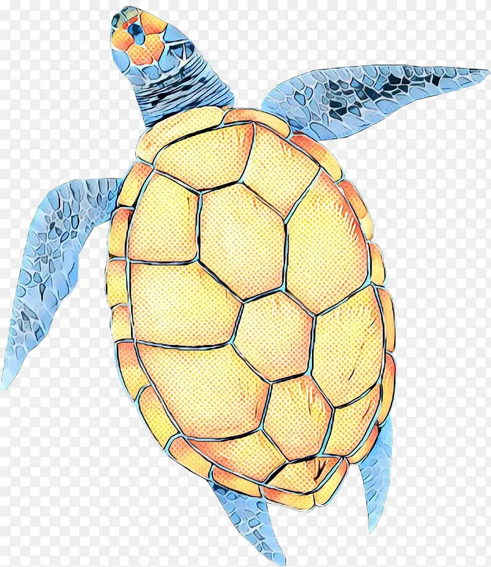 波普艺术 复古 海龟