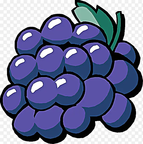 葡萄 紫色 葡萄科