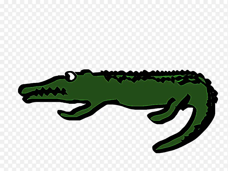 鳄鱼 绿色 爬行动物