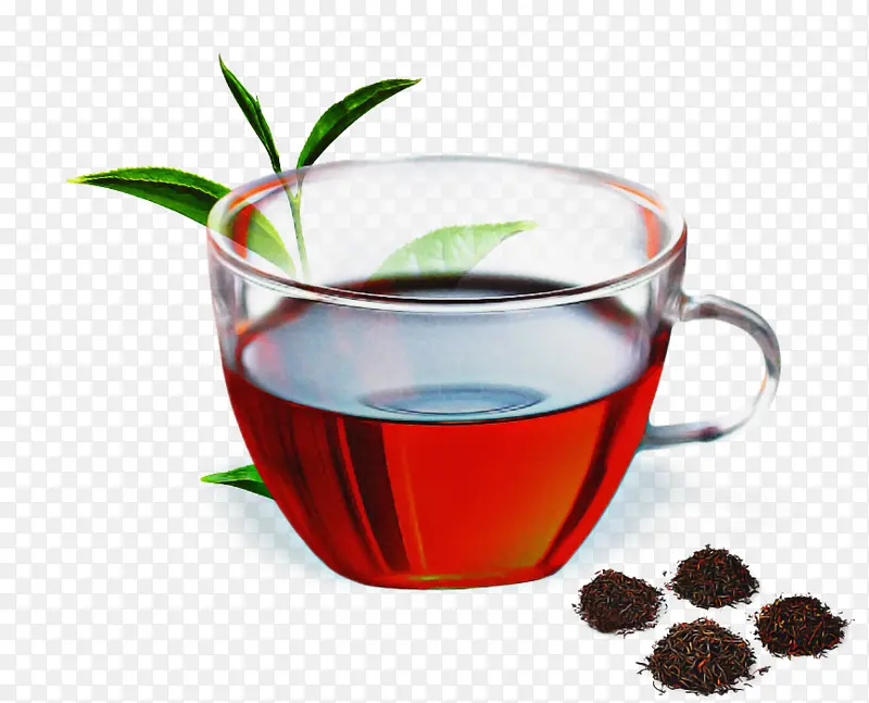 饮料 植物 中草药茶
