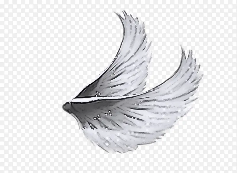 翅膀 羽毛 银