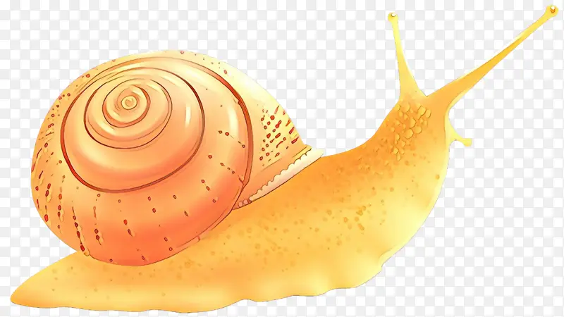 卡通 蜗牛和蛞蝓 蜗牛