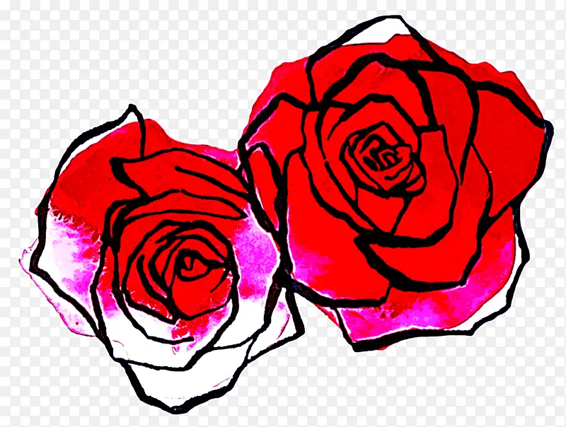 花园玫瑰 玫瑰 粉色
