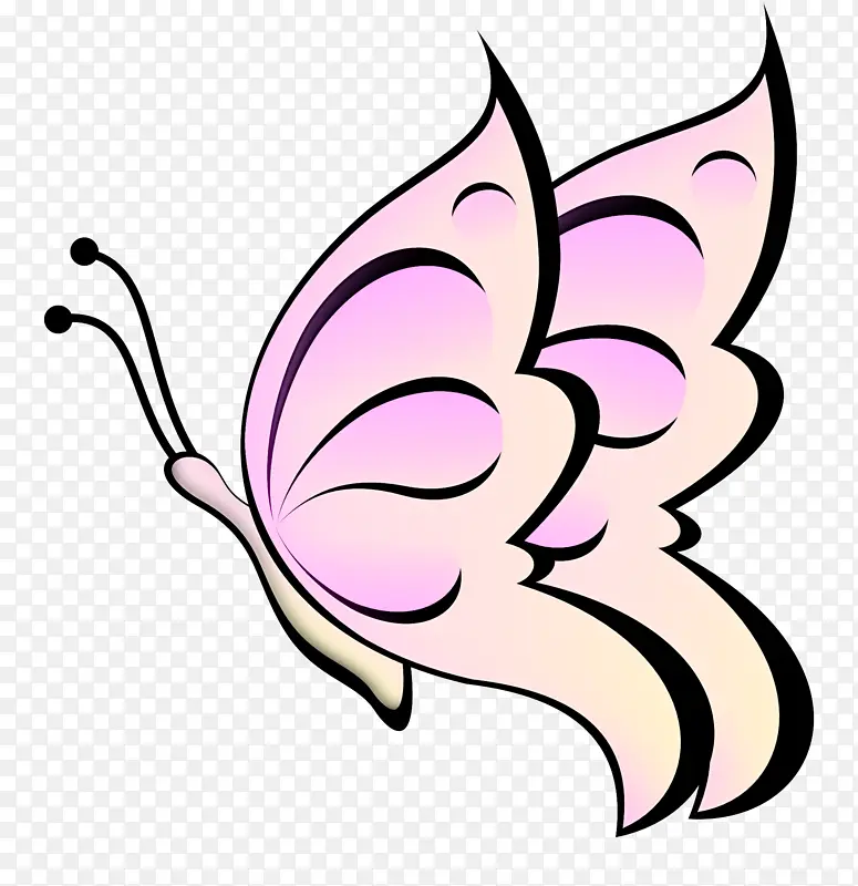 粉色 植物 蝴蝶