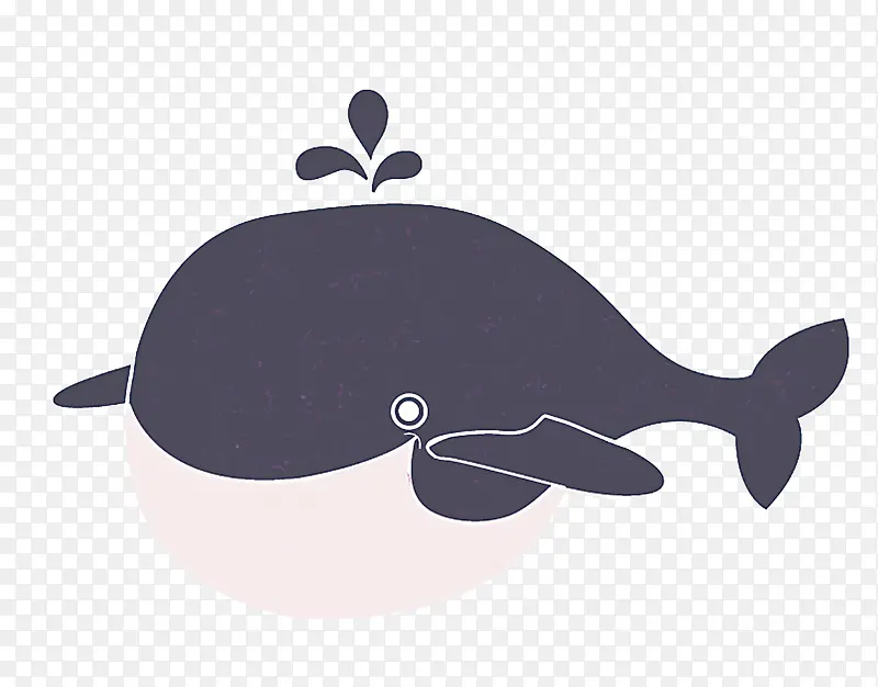 海洋哺乳动物 虎鲸 鲸鱼