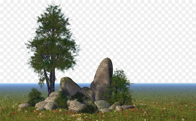 自然 树木 岩石